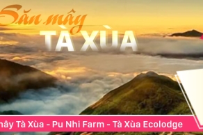 Hội làng - tinh hoa văn hóa Việt Nam